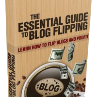 Essential Guide To Blog Flipping